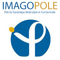 pseudo logo Imagopole