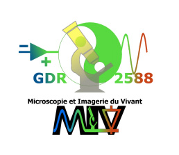 logo GDR-MIV