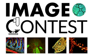 Image Contest FBI 2017