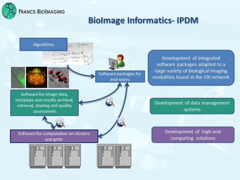 bioimaging software download