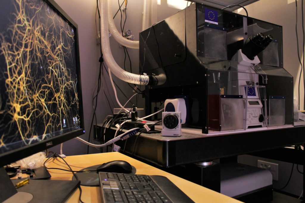 Access to FBI imaging technologies – France-BioImaging