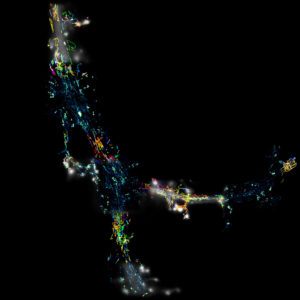 Representation of PALM technology on a rat hippocampal neuron. The low resolution image corresponds to the synaptic marker, Homer-GFP. Using PALM superresolution technology, it is possible to visualise NMDAR trafficking and clusters in high resolution. This approach can be used in the study of autoimmune neuropsychiatric diseases that disrupt both the organisation of NMDAR and their diffusion at the neuronal surface.