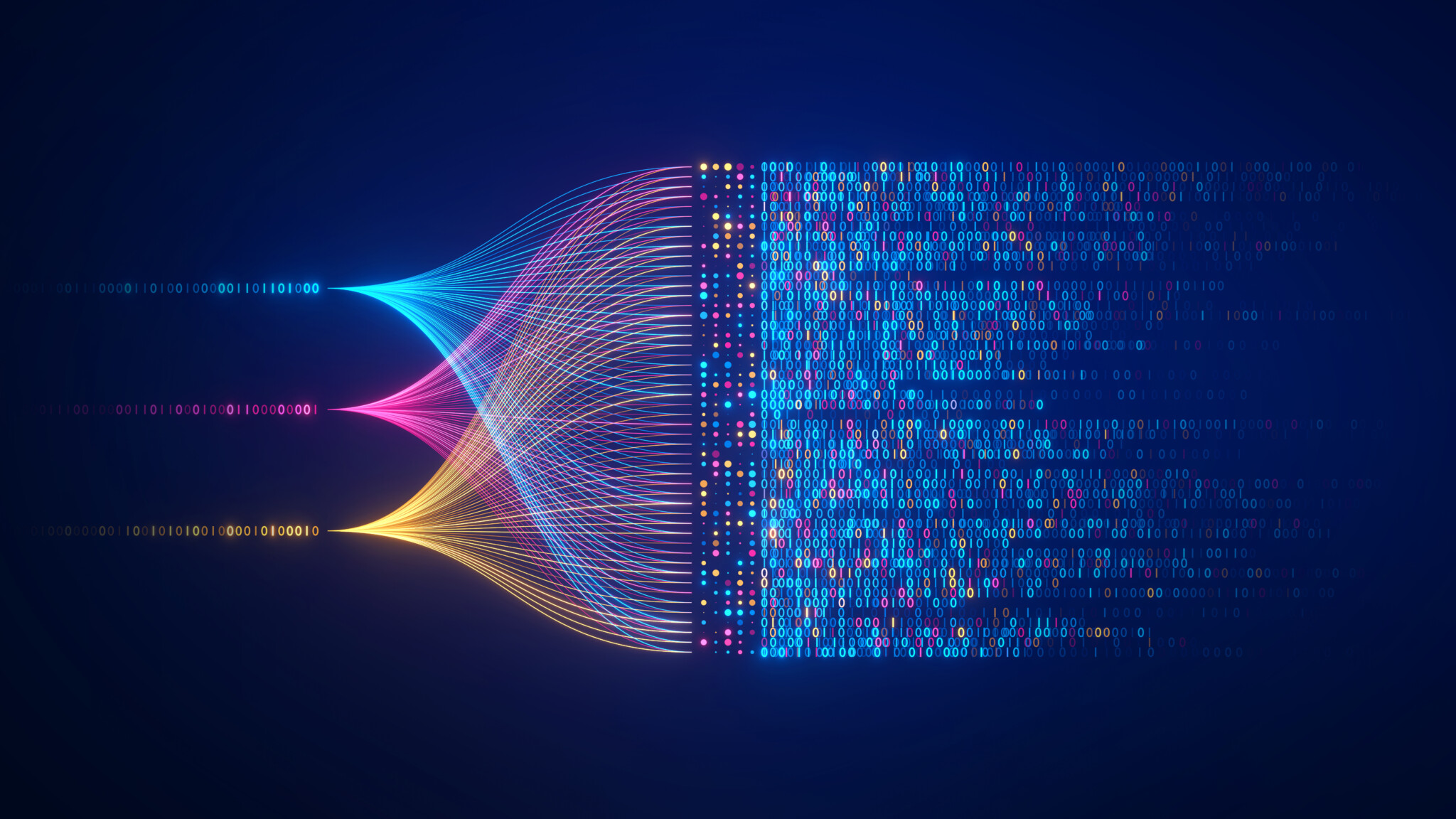 NEUBIAS Pasteur course on Bioimage Analysis 2025 FranceBioImaging