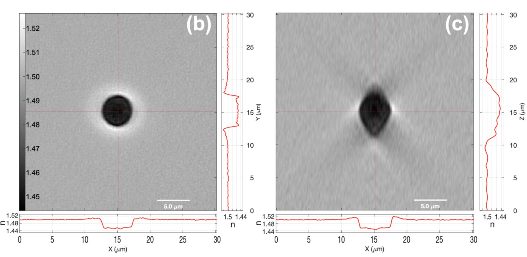 Microscope Diffraction Dual-view tomographic diffraction microscopy – France-BioImaging